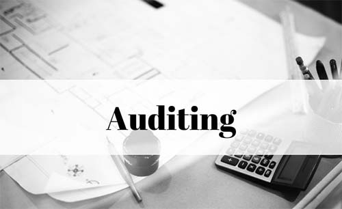 Auditing