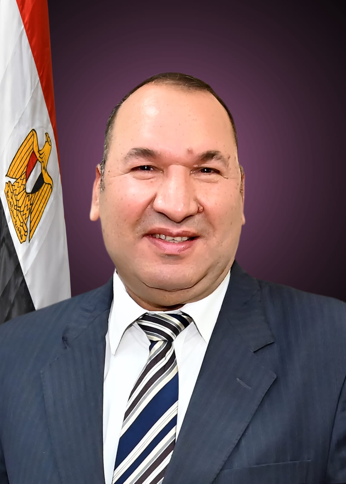 الاستاذ الدكتور/محمد سيد محمد إبراهيم